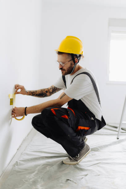 Best Fire-Damaged Drywall Repair  in Lincoln, ID